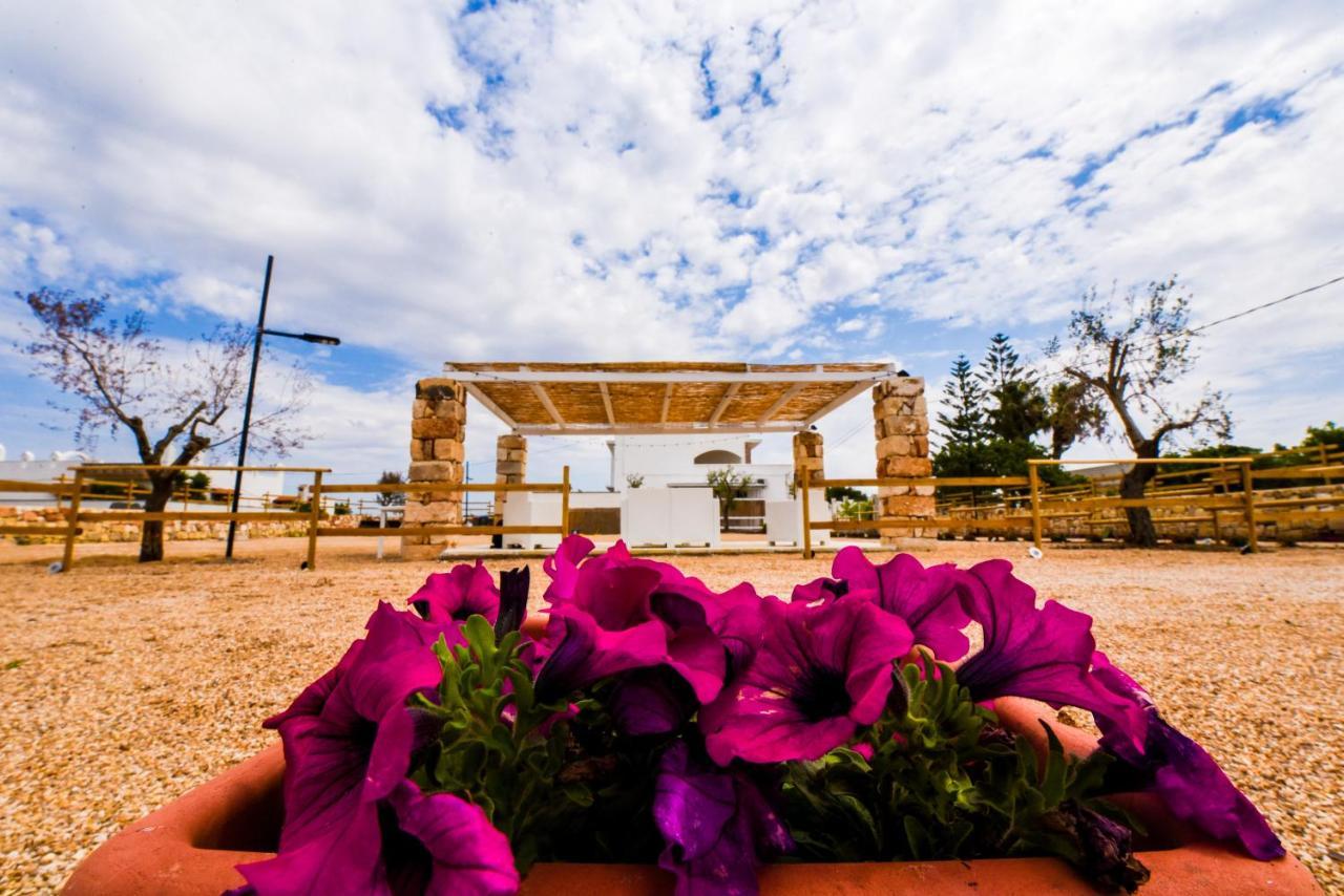 Sea Salento Casa Vacanze بونتا بروسسيوتو المظهر الخارجي الصورة